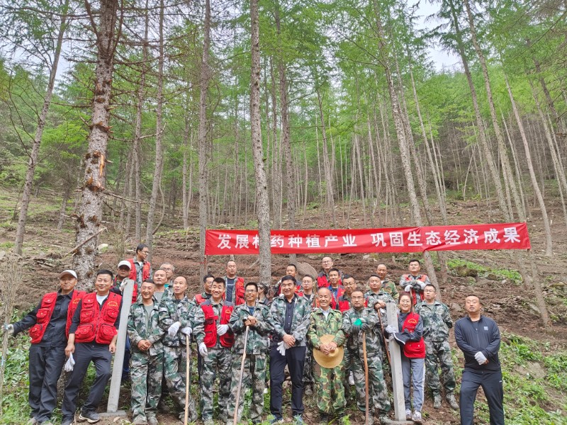 太东林场最新招聘信息概览